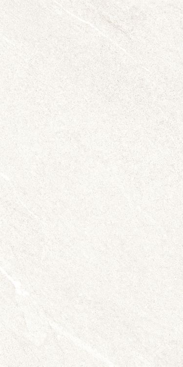 Dhara White Matte 12 x 24
